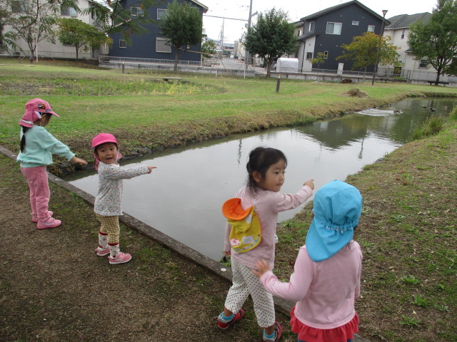 せんせいーとりがいるよー