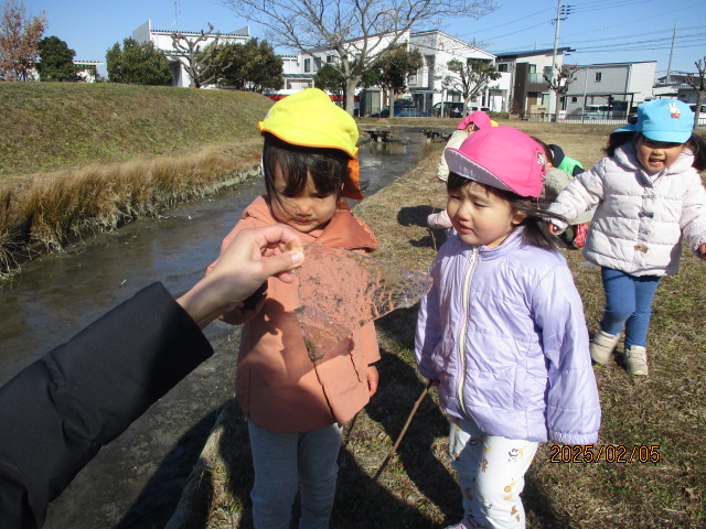 今日は寒かったー 池には氷がはっていたー