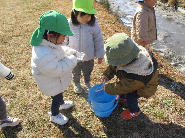 氷は冷たいねー