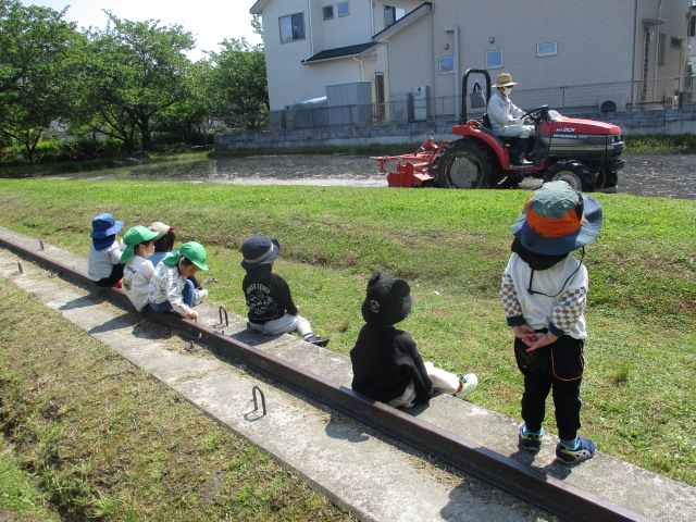 何してるのかな？