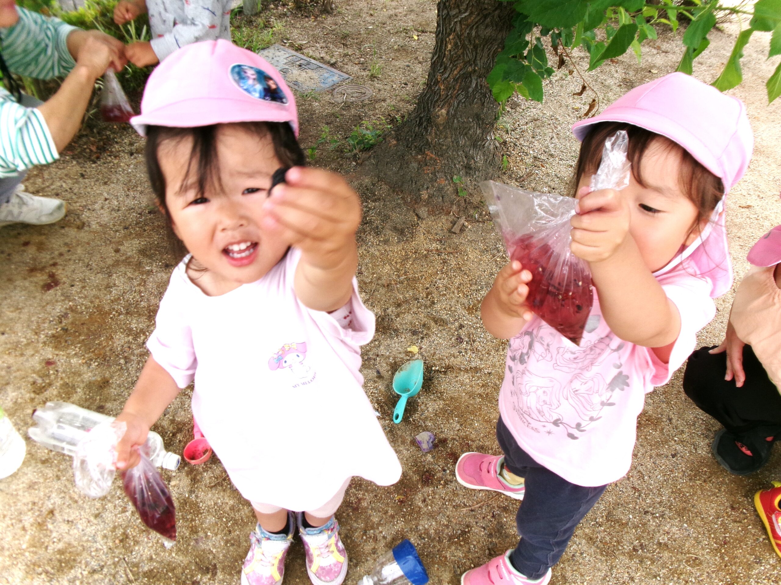 桑の実、見つけたよ！水につけてもみもみすると、ほら！水の色が！！