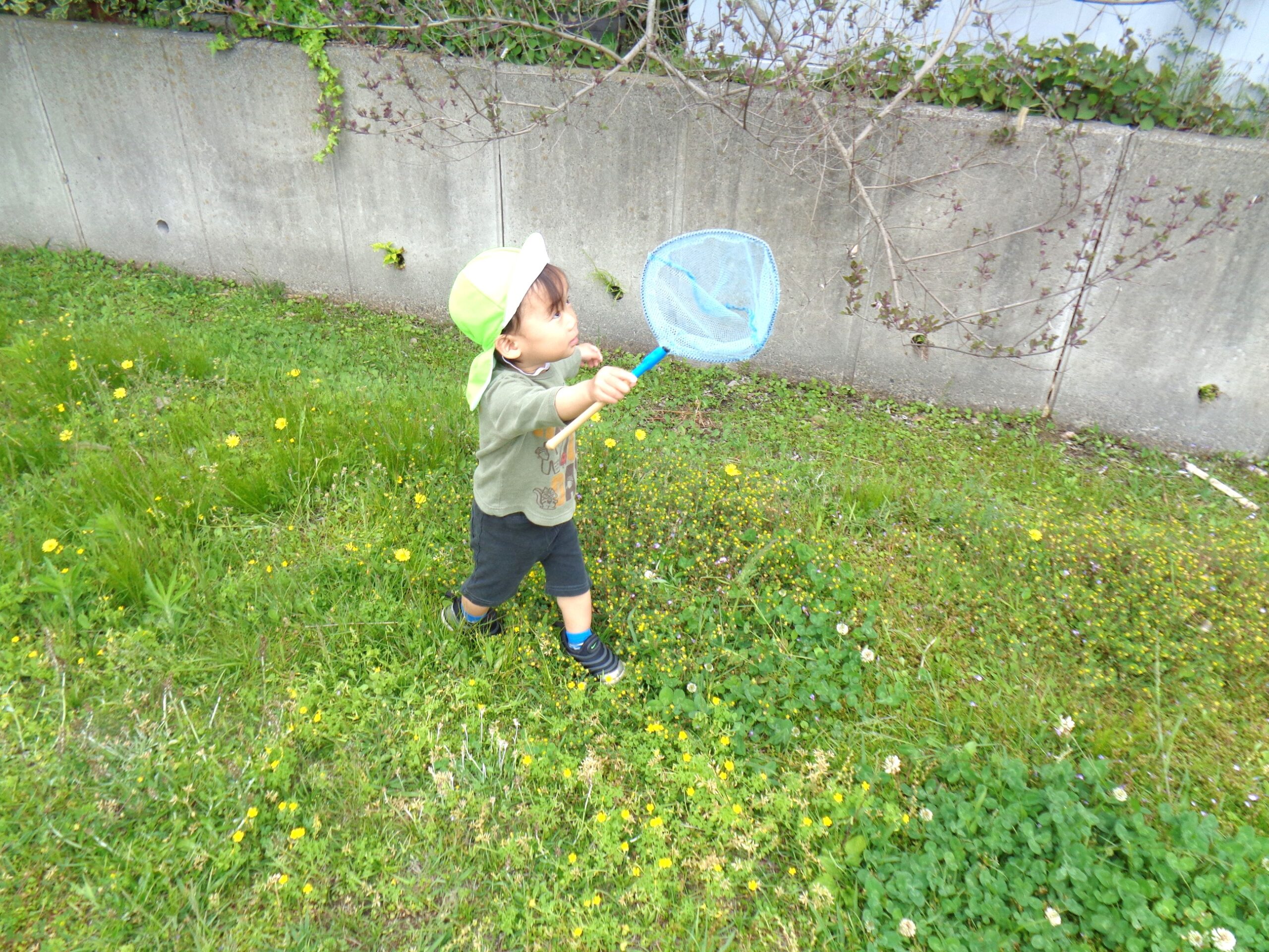 えい！やーー！！つかまえたぁー！！