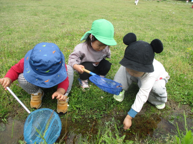 小さな探検隊‼～春の水辺で大発見～