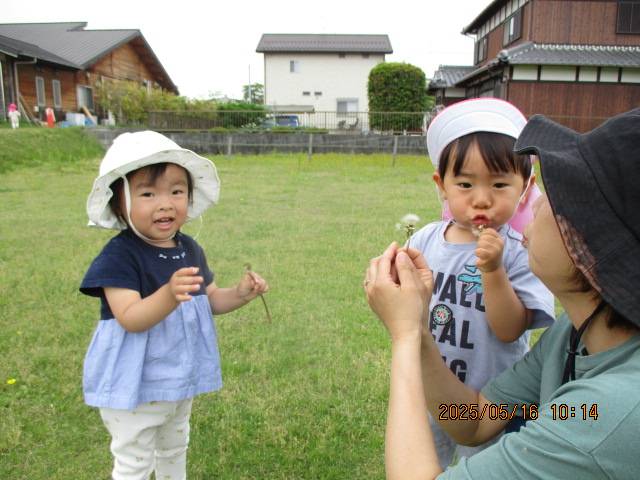 ふぅ～ふぅ～ わたげがとんだ♪