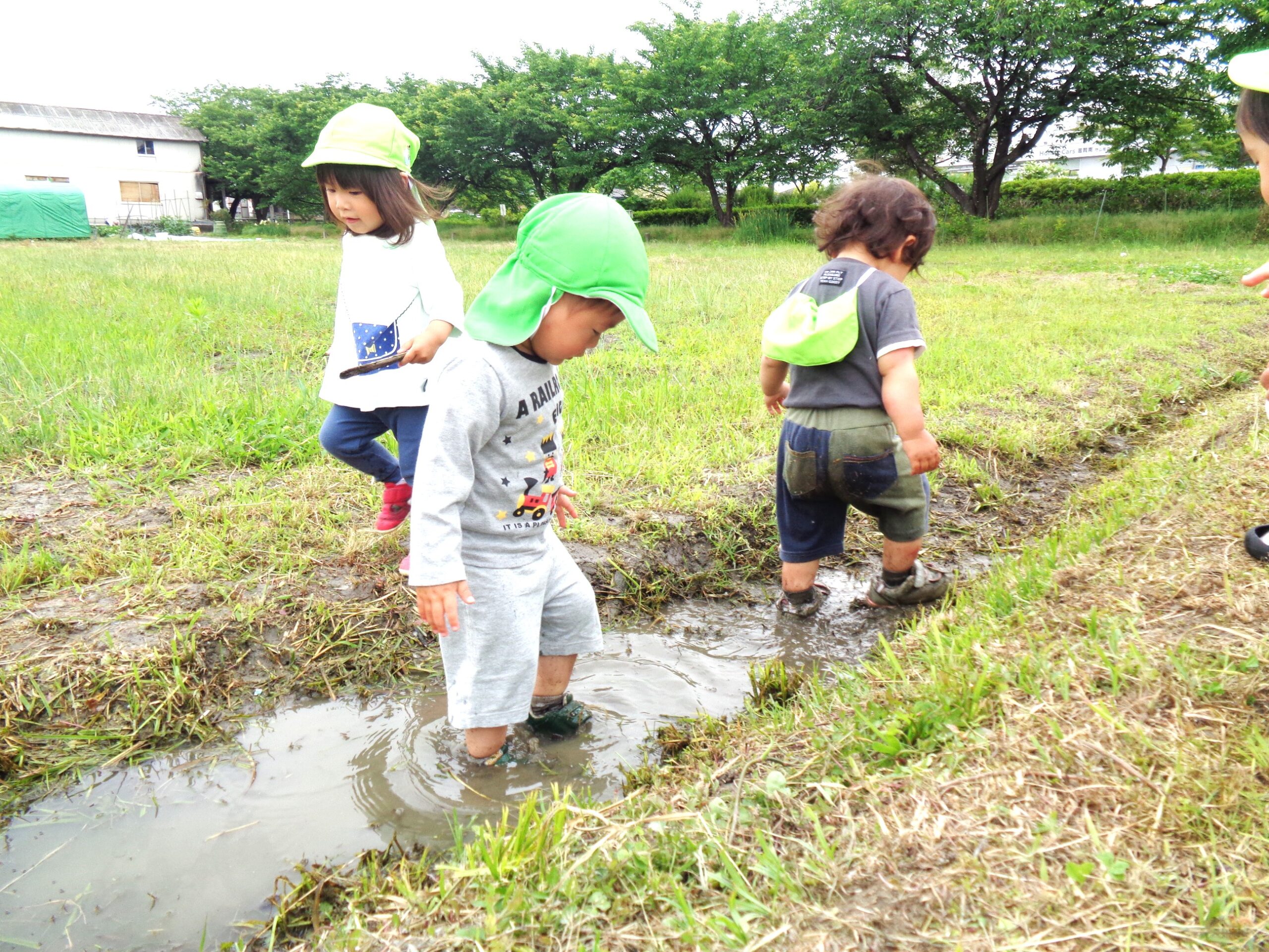 水たまり、見つけたよ！たのしいな！