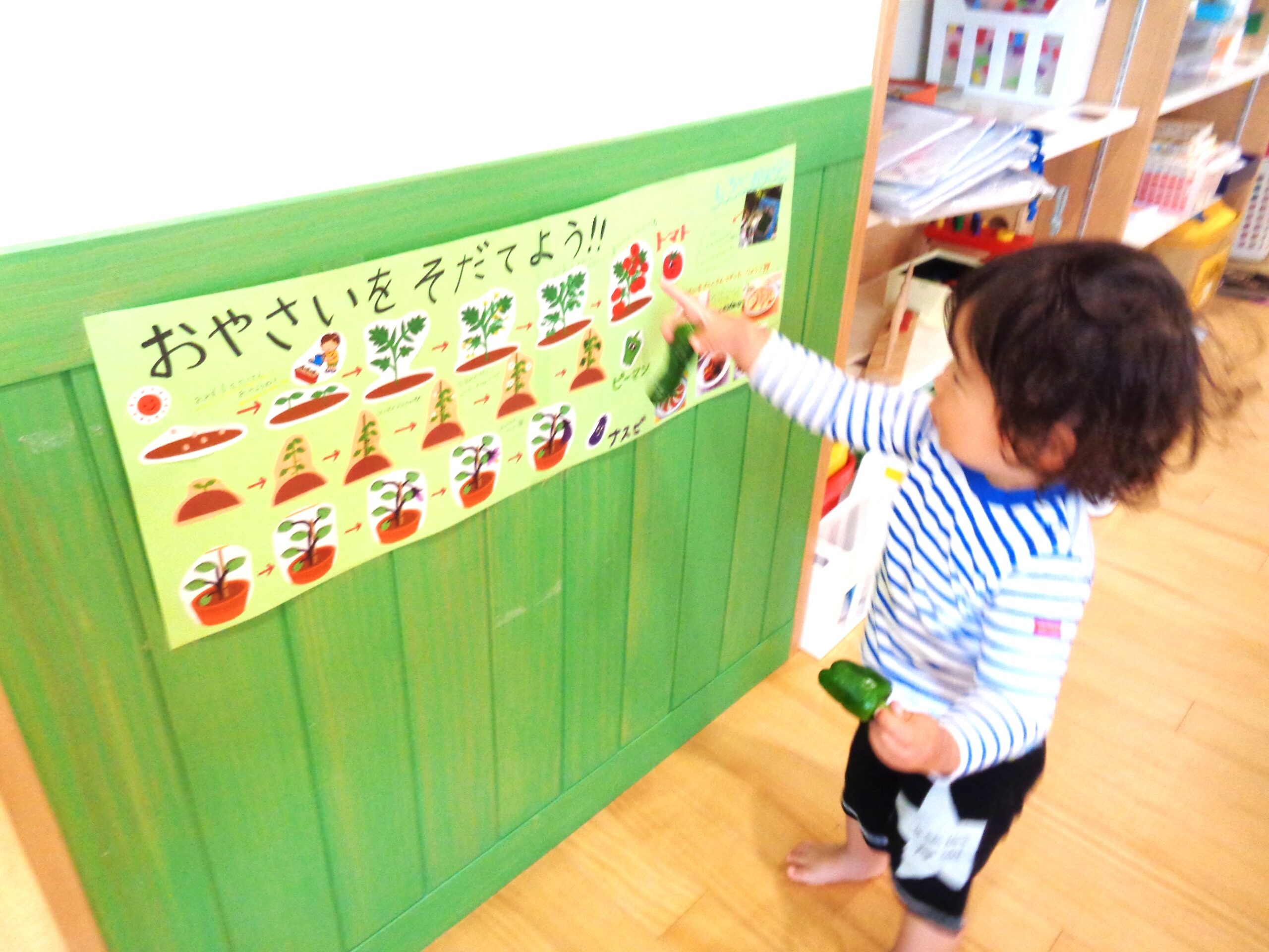 ピーマンできたよ！いっしょー！