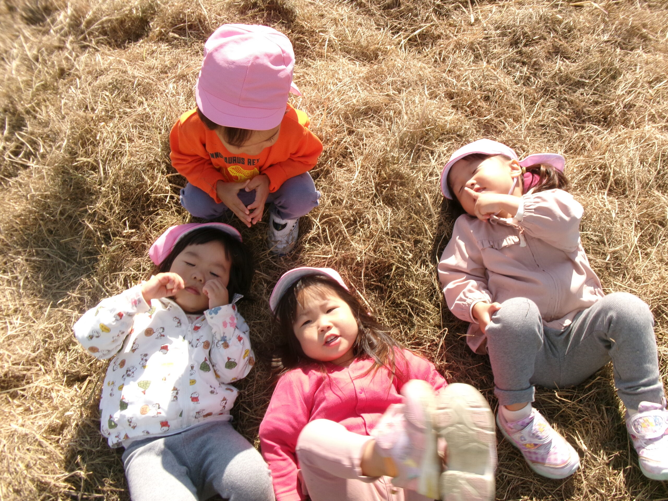 干し草の上はふっかふか〜！気持ちいいね〜♪