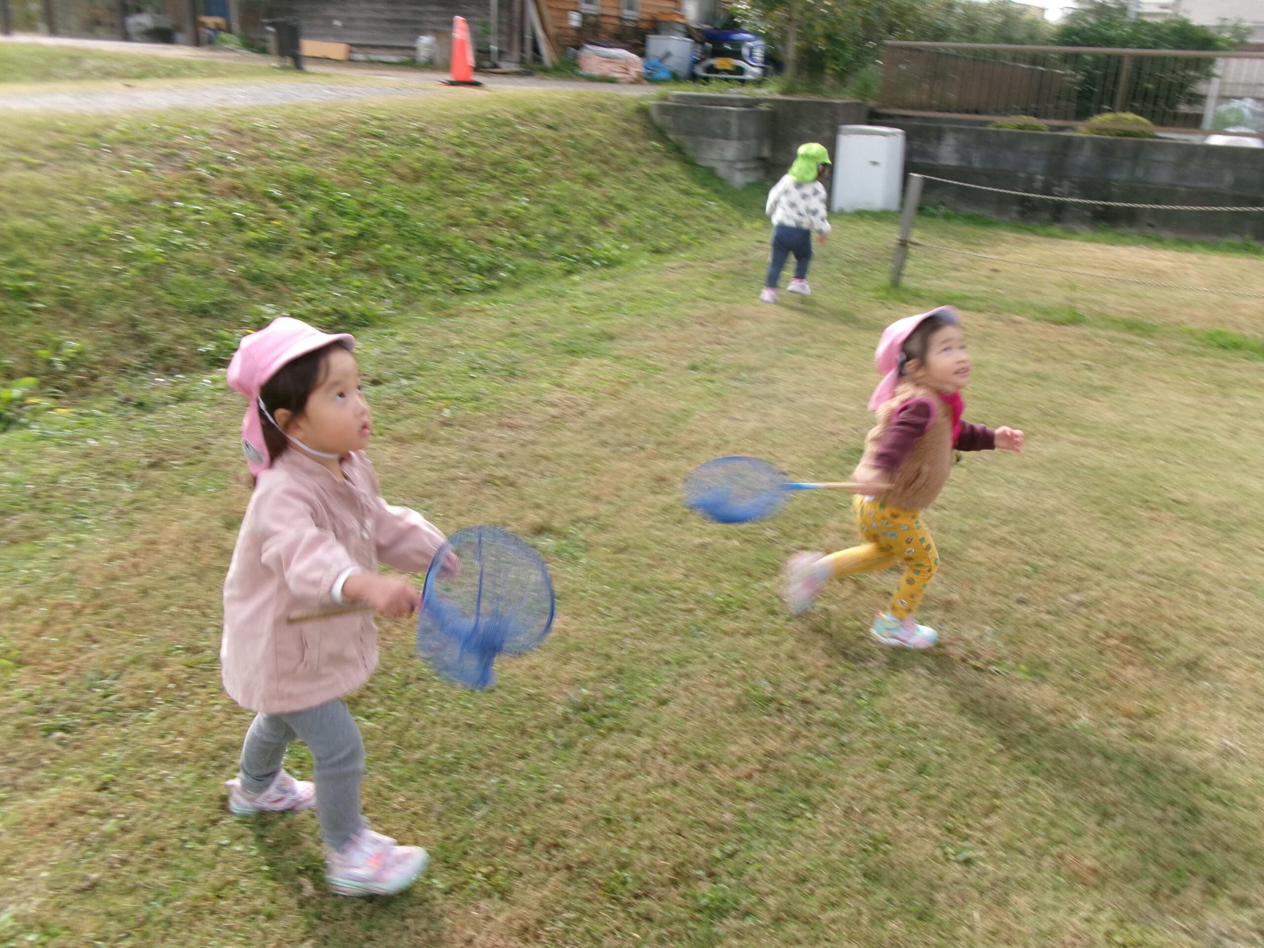 目線の先にいるのは蝶々！捕まえようとする真剣なまなざしが素晴らしい♬