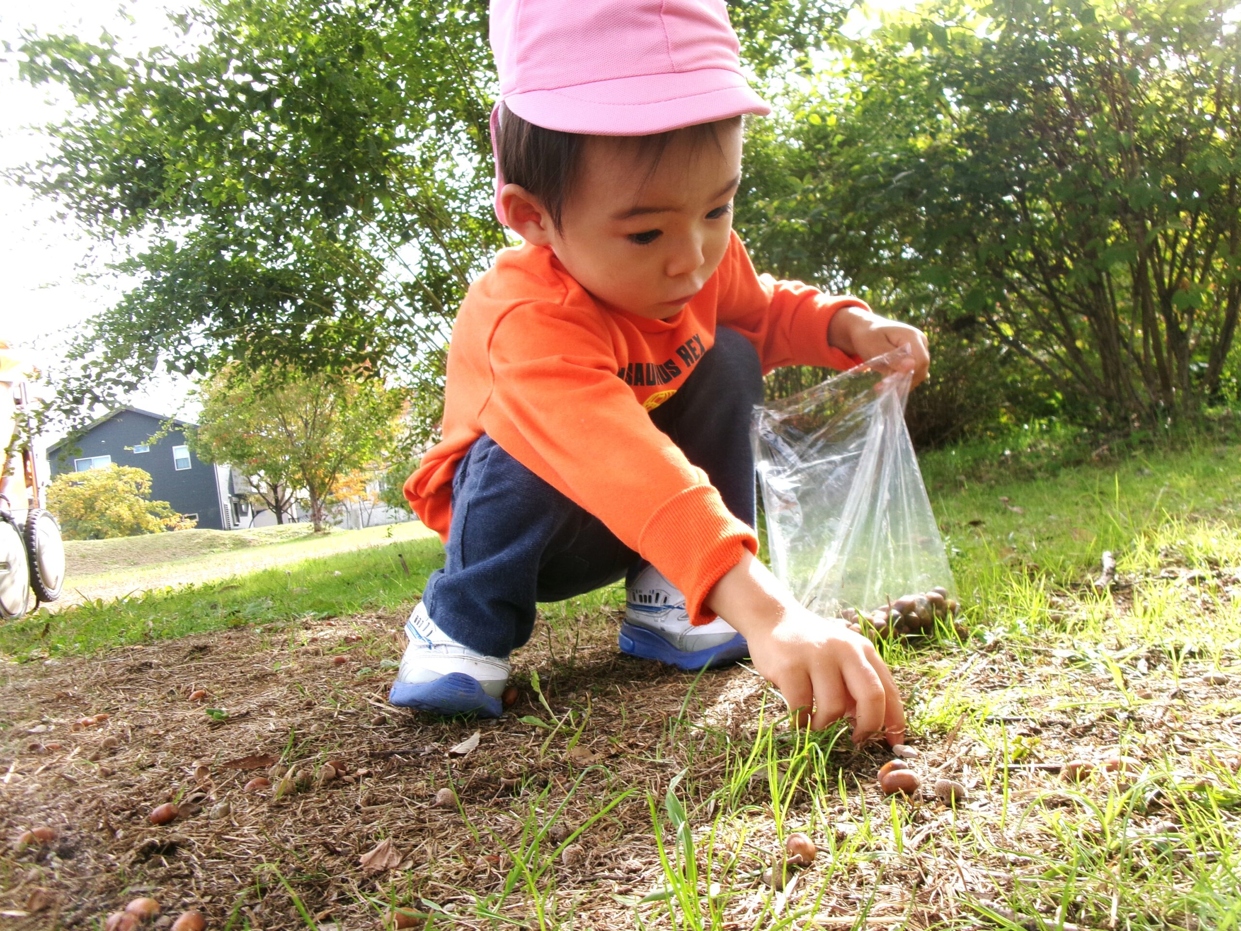 ドングリ拾いが楽しくて～♬時間を忘れて夢中になる姿が愛おしい♡