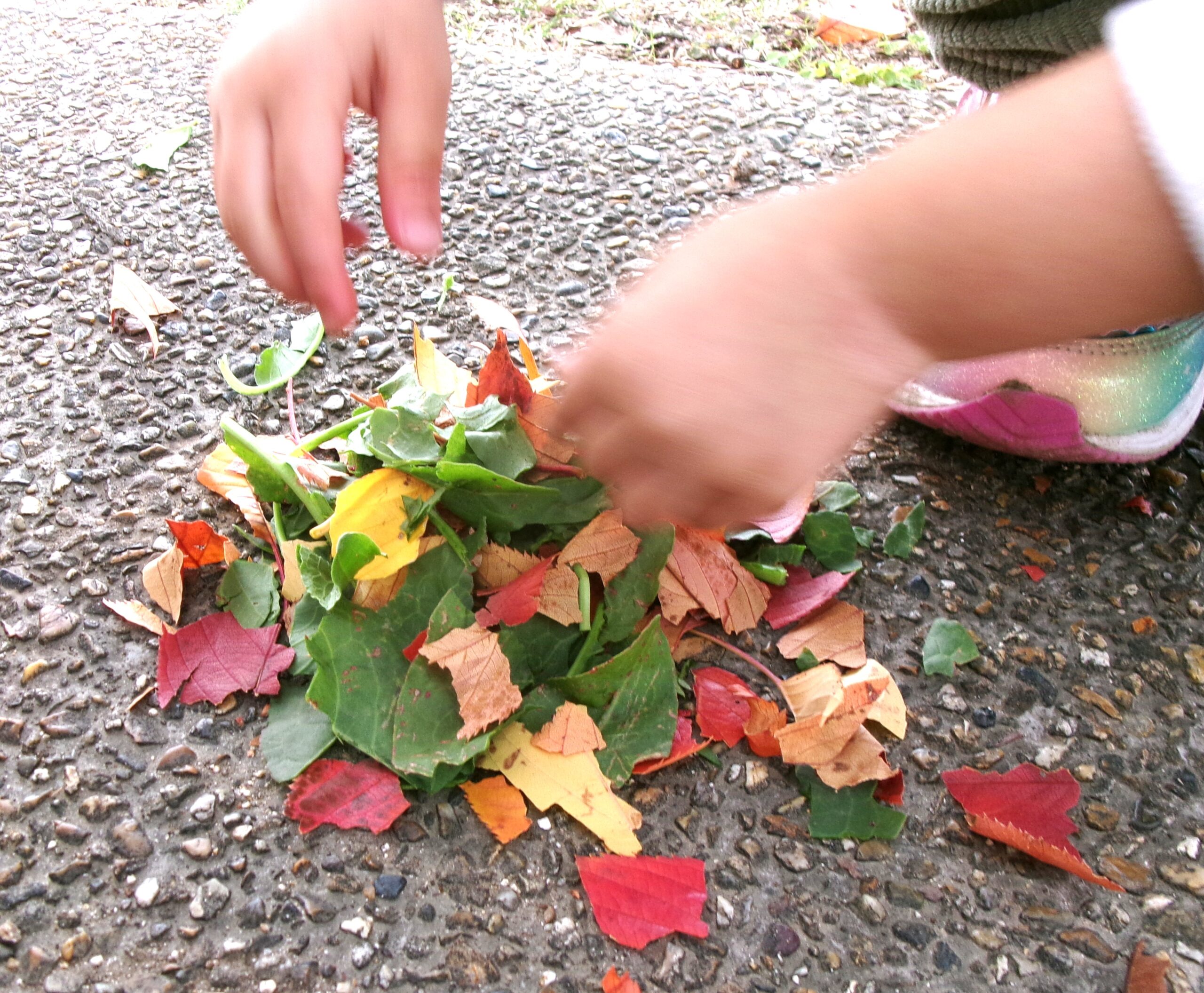 あか！きいろ！みどり！紅葉がきれいで、それを集める子ども達の手がすくすく育っています！