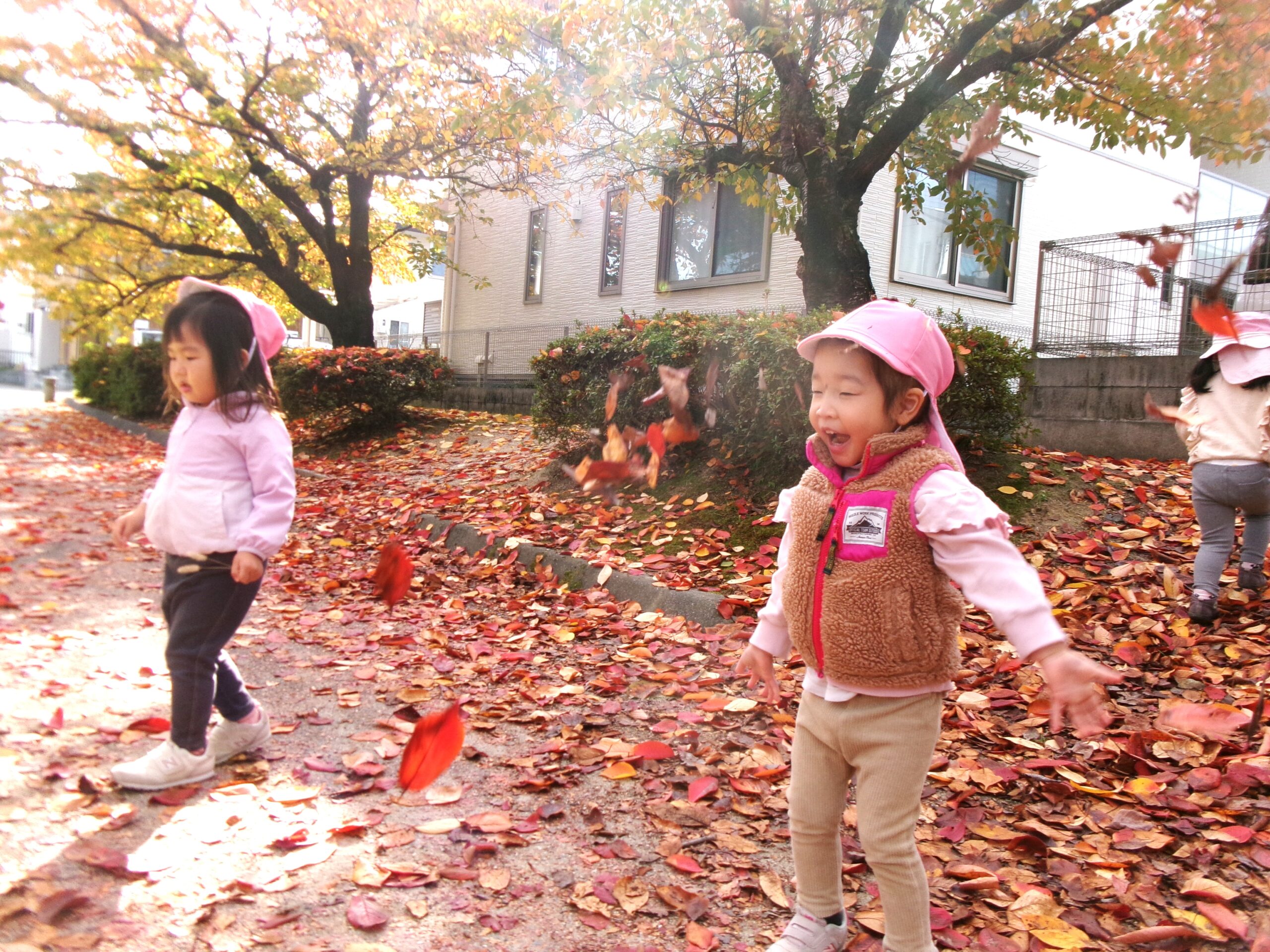 落ち葉のシャワー！！きもちいい～～♬
