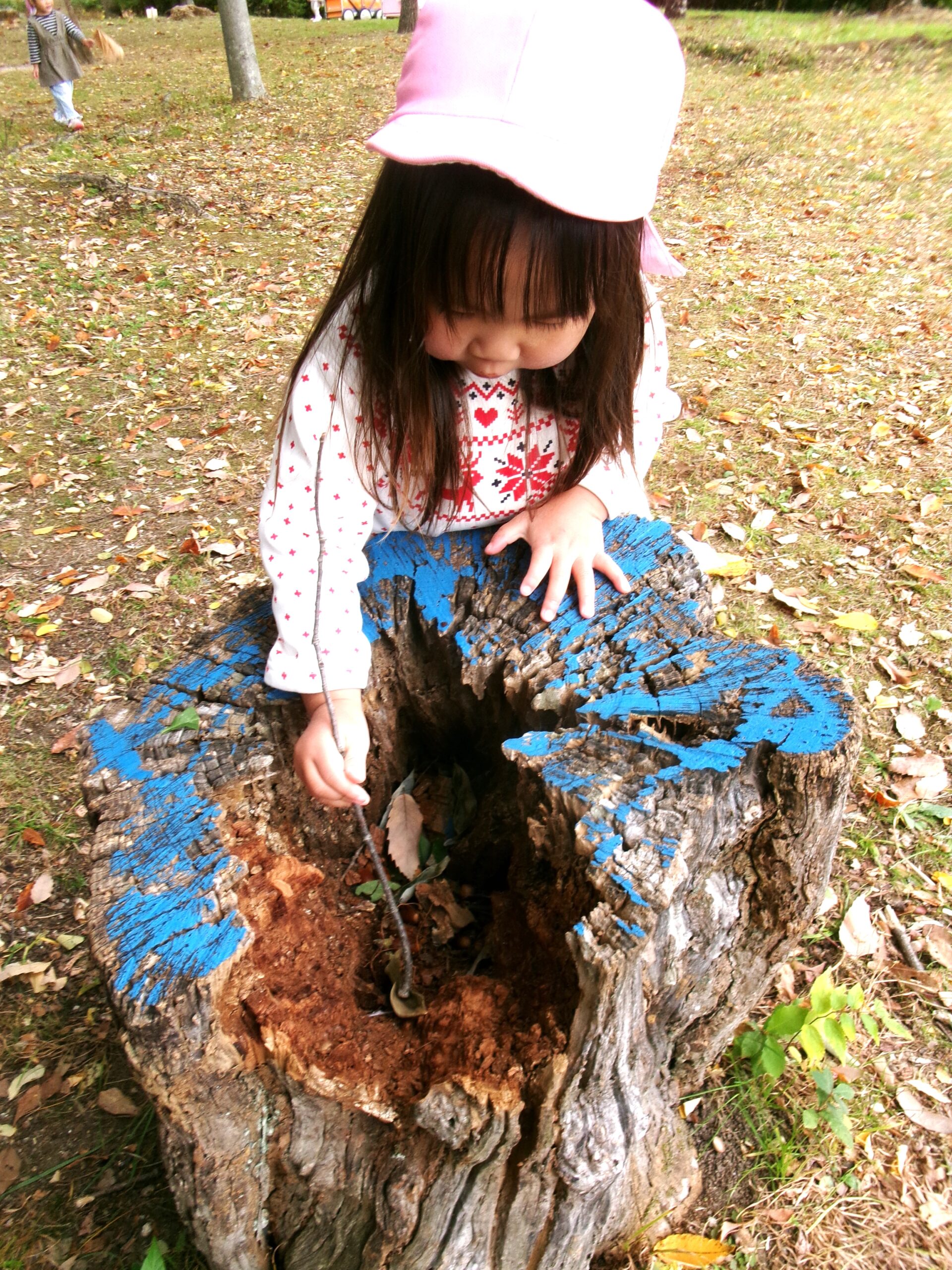 切り株で、どんぐり入りのお料理がもうすぐできるよ〜！