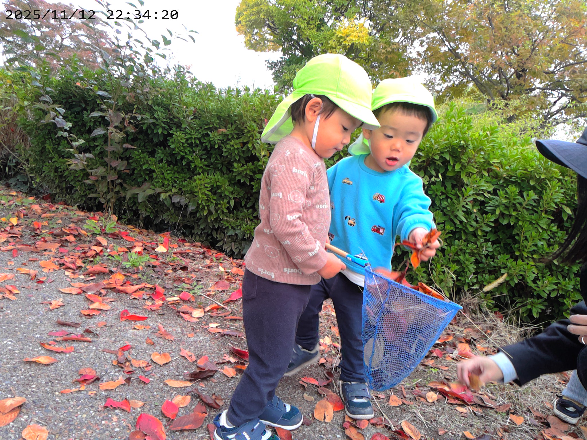 落ち葉がいっぱーーい！！