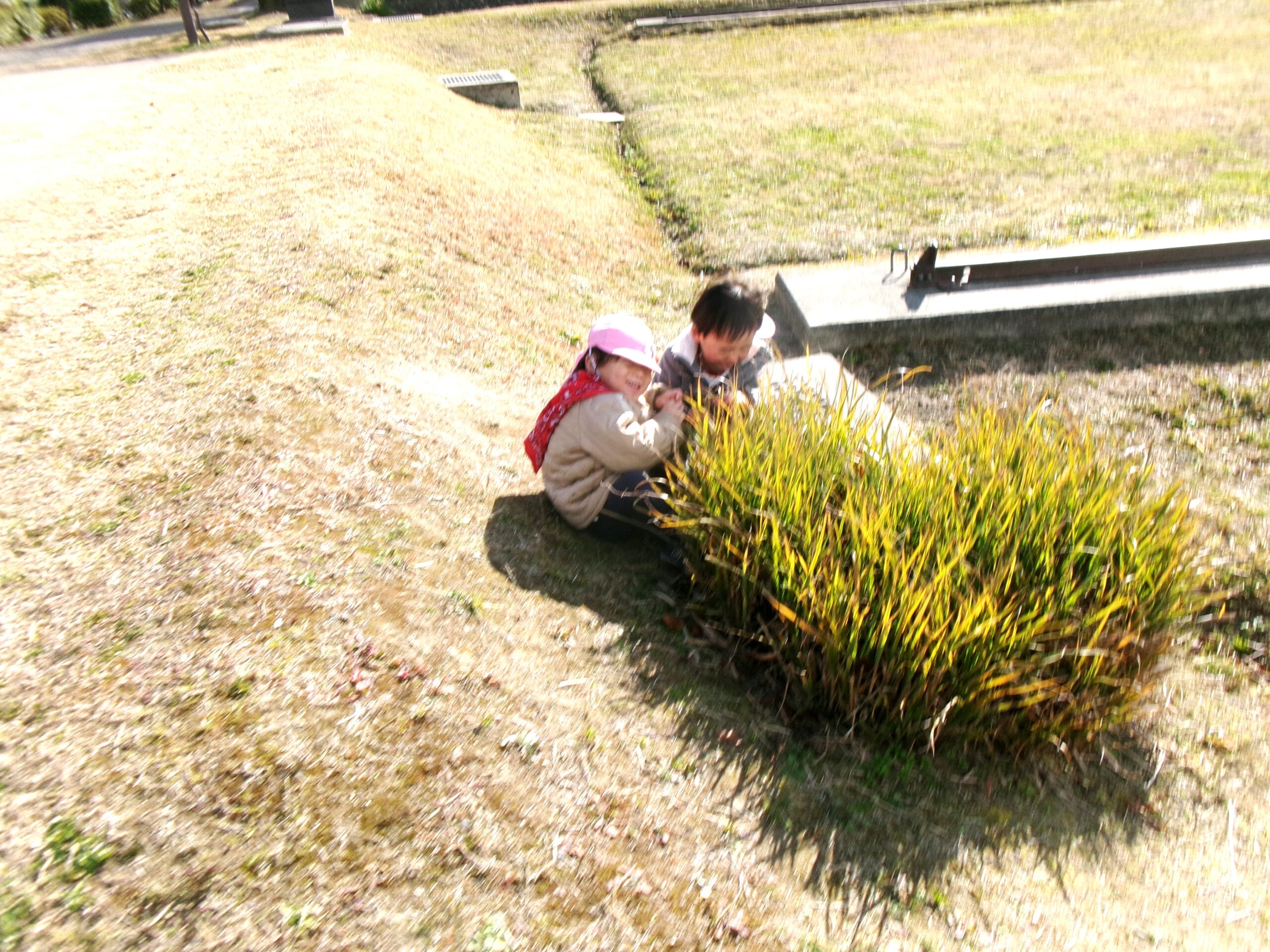 2歳児さんのかくれんぼ～！もういいかい～！ま～だだよ～♬