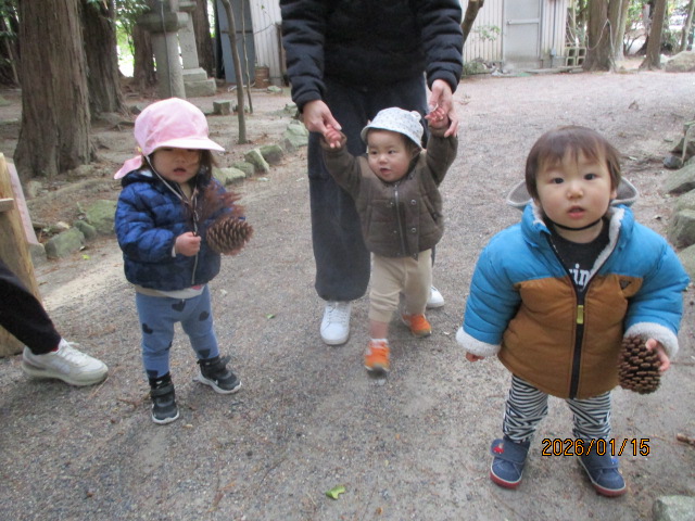 大きな松ぼっくりを見つけたよ！