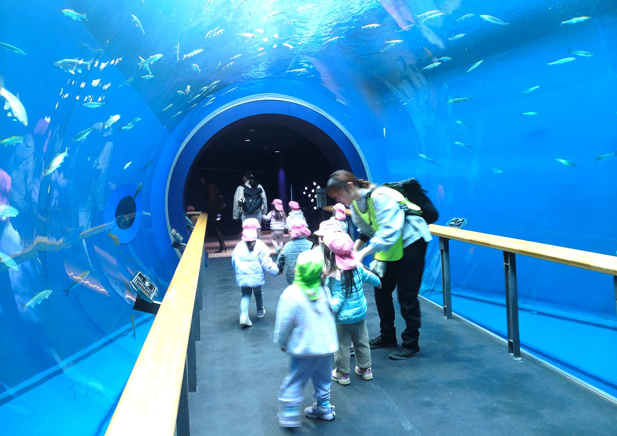 2歳児さんのお別れ遠足！大好きなお友だちや先生と嬉しい嬉しい幸せなひととき。いっぱいの幸せをありがとう。