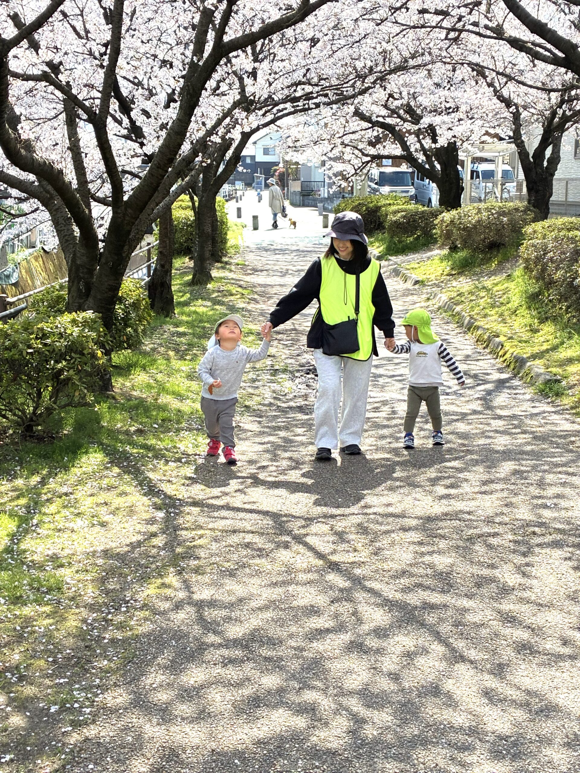 大好きなお友だちと大好きな先生と一緒に桜並木をお散歩♬うれしいねぇ～♬きれいだね～！！