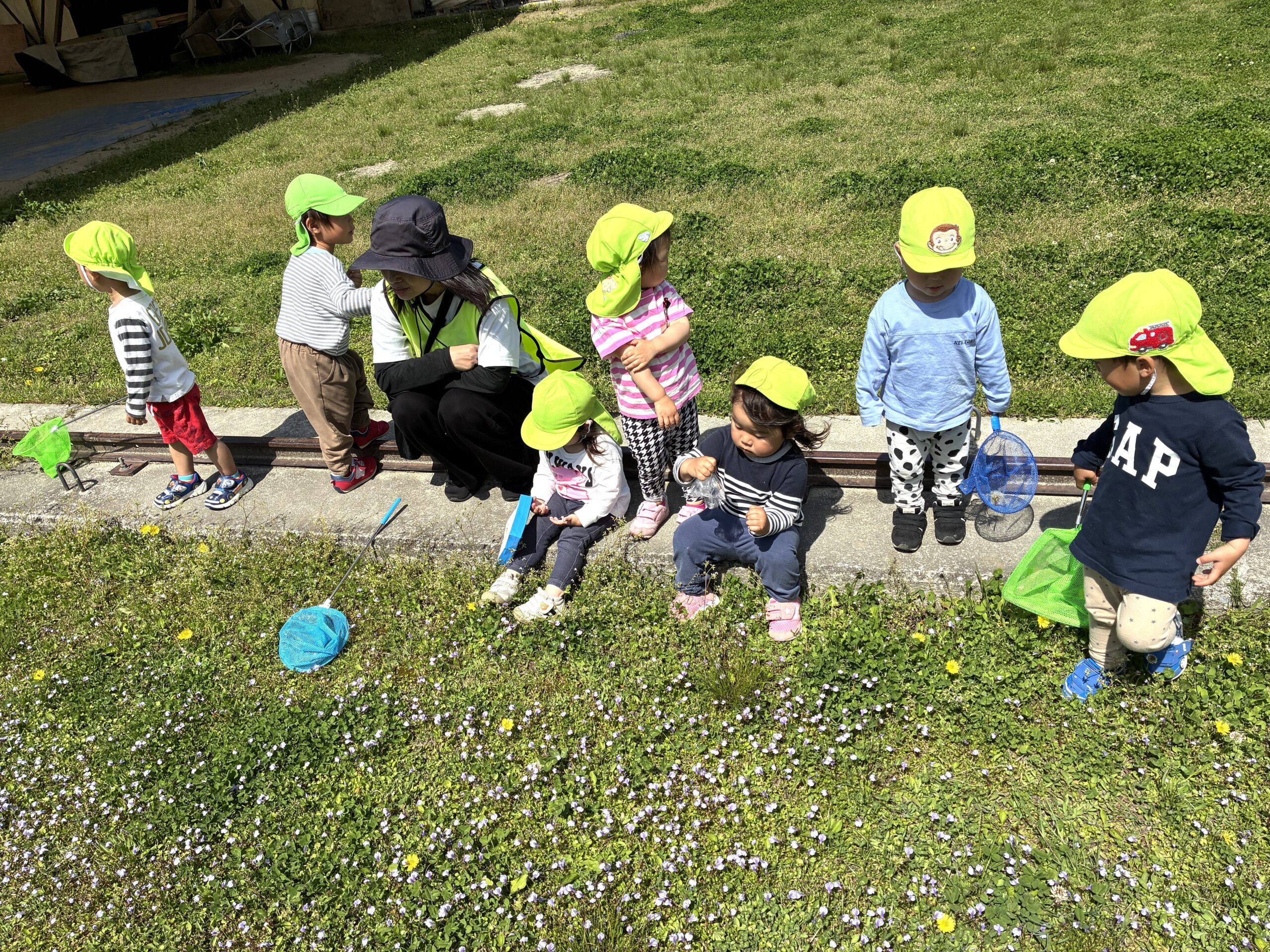 2歳児さんのお散歩！レンゲ畑で今日は、どんな虫さんに出会えるかな？