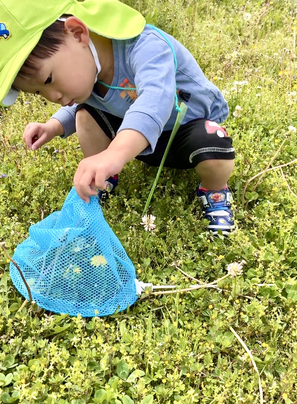 蝶々、つかまえたよ～～！！この見方がかわいいね～♬