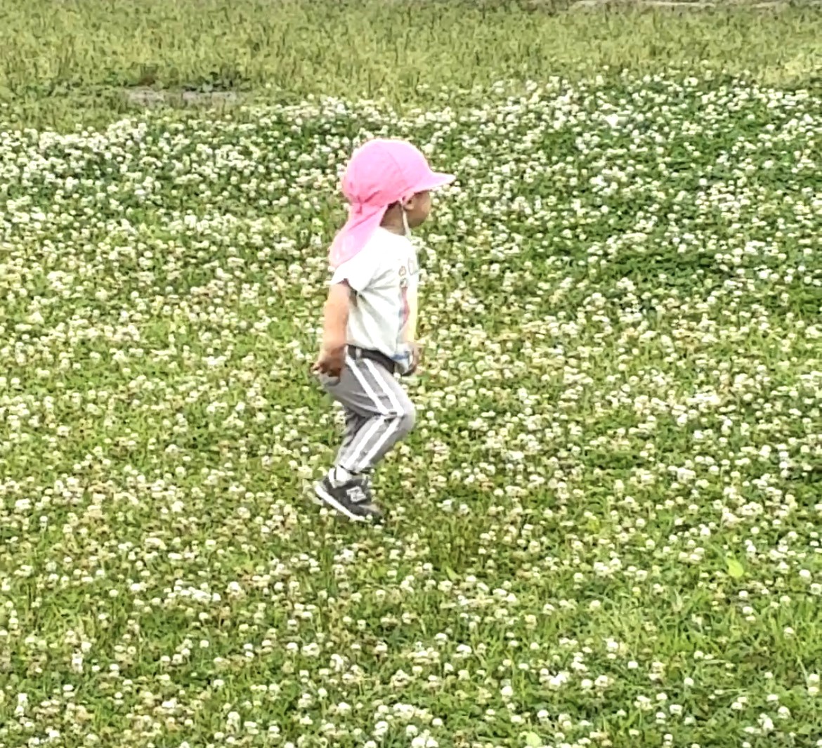 1歳児さん！レンゲ畑でモンシロチョウをおいかけて～♬