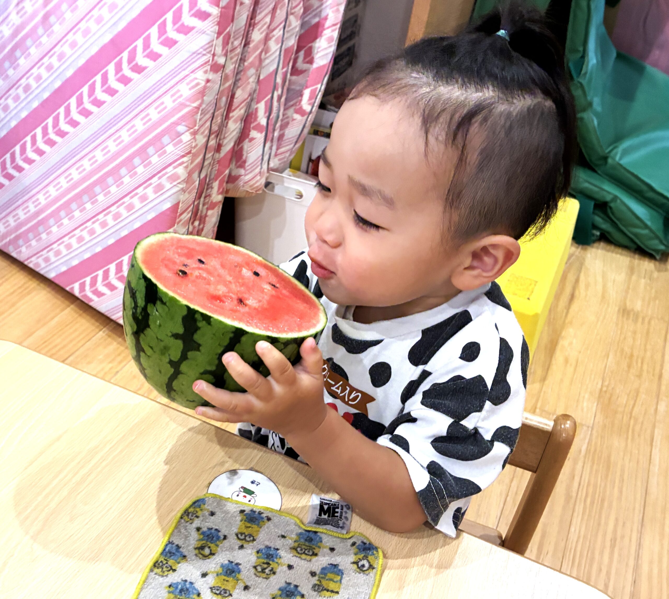旬を思いっきり五感で感じてる♬「ふるえるぐらいおいしい～！」と大絶賛の2歳児さん！すいかも農家の人々も喜んでるね！