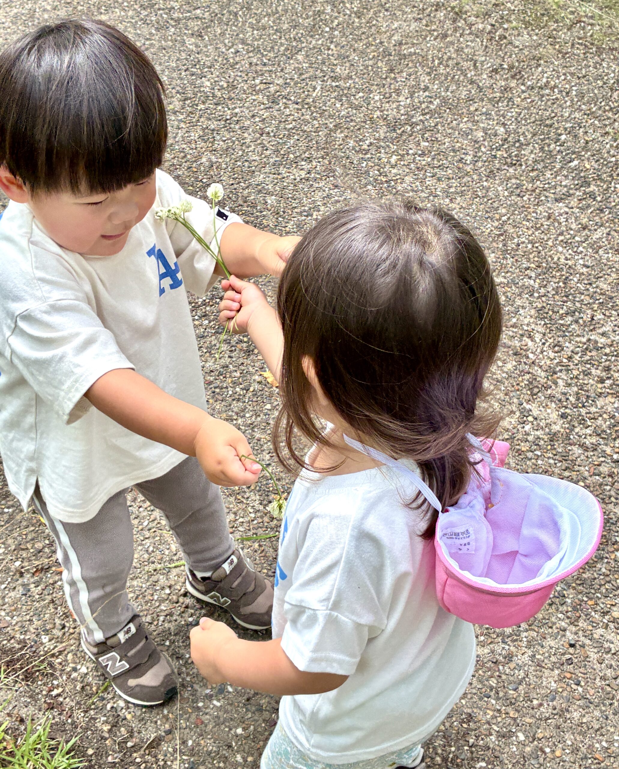 1歳児さんのお散歩先で。「はい、どうぞ」！」「あっと～！」愛がいっぱいのレンゲソウ～♬