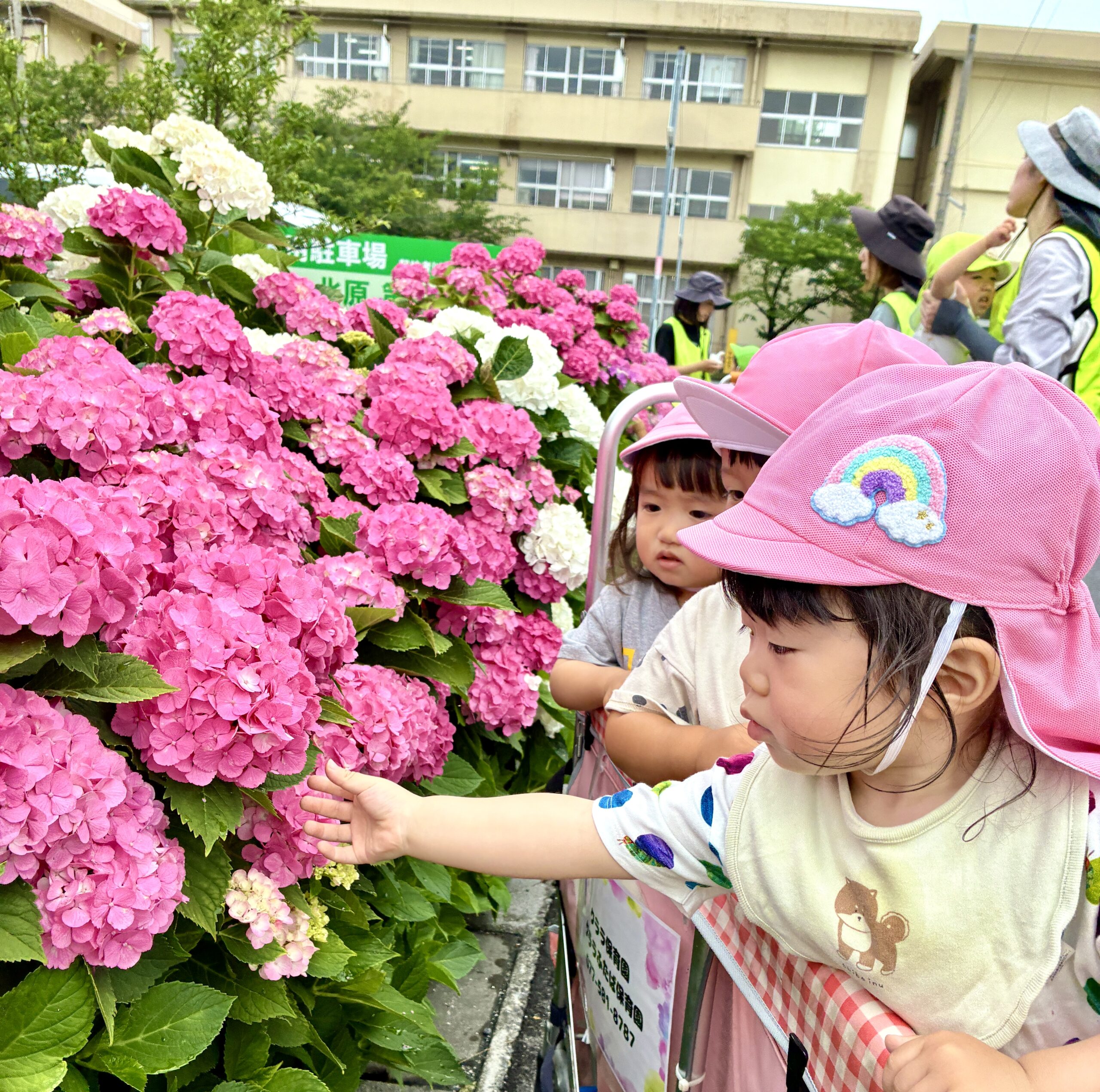 雨上がりのあじさいは、キラキラだよ！