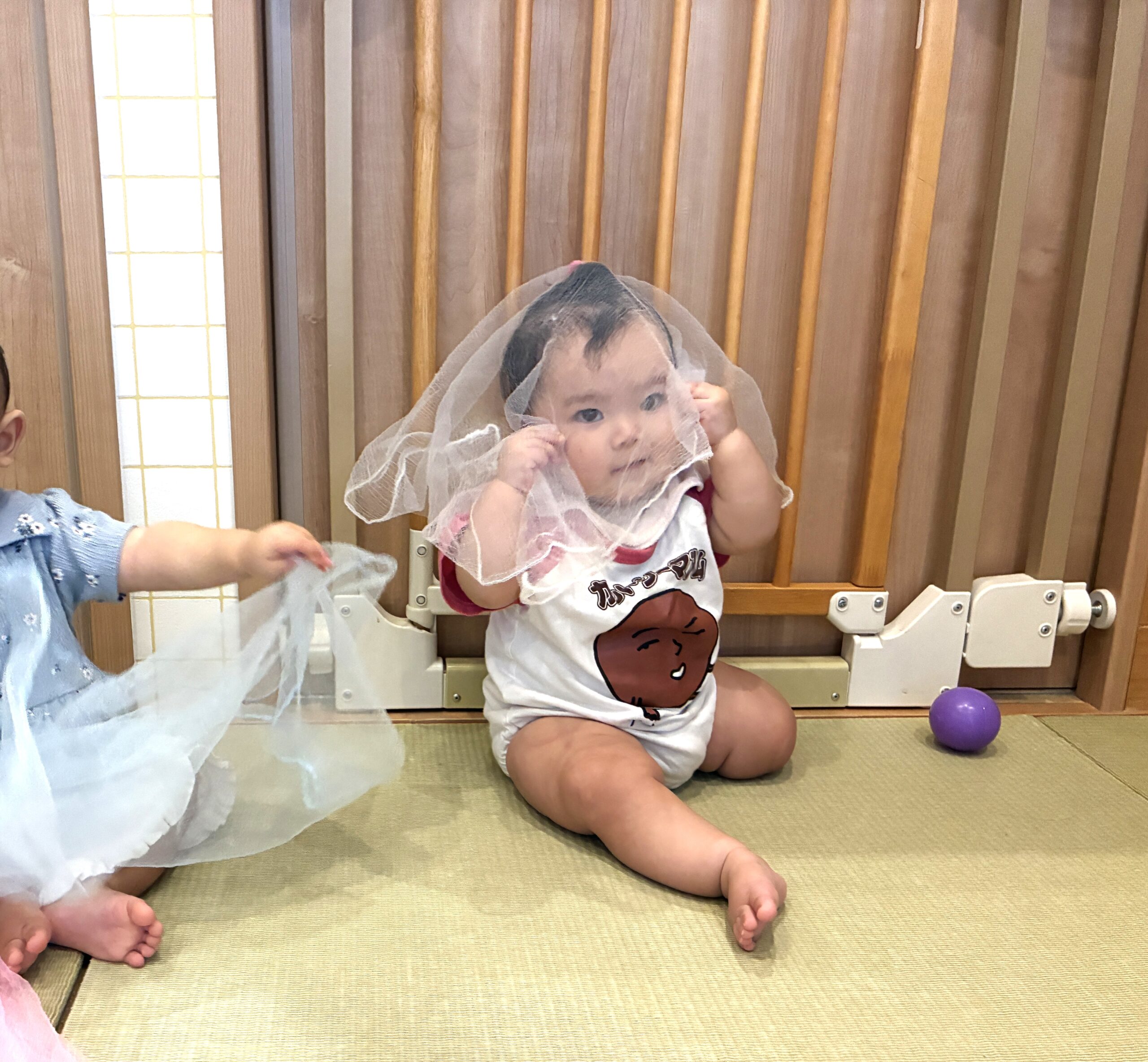 0歳児さんのわらべ歌遊び♬～シフォンスカーフを使って～