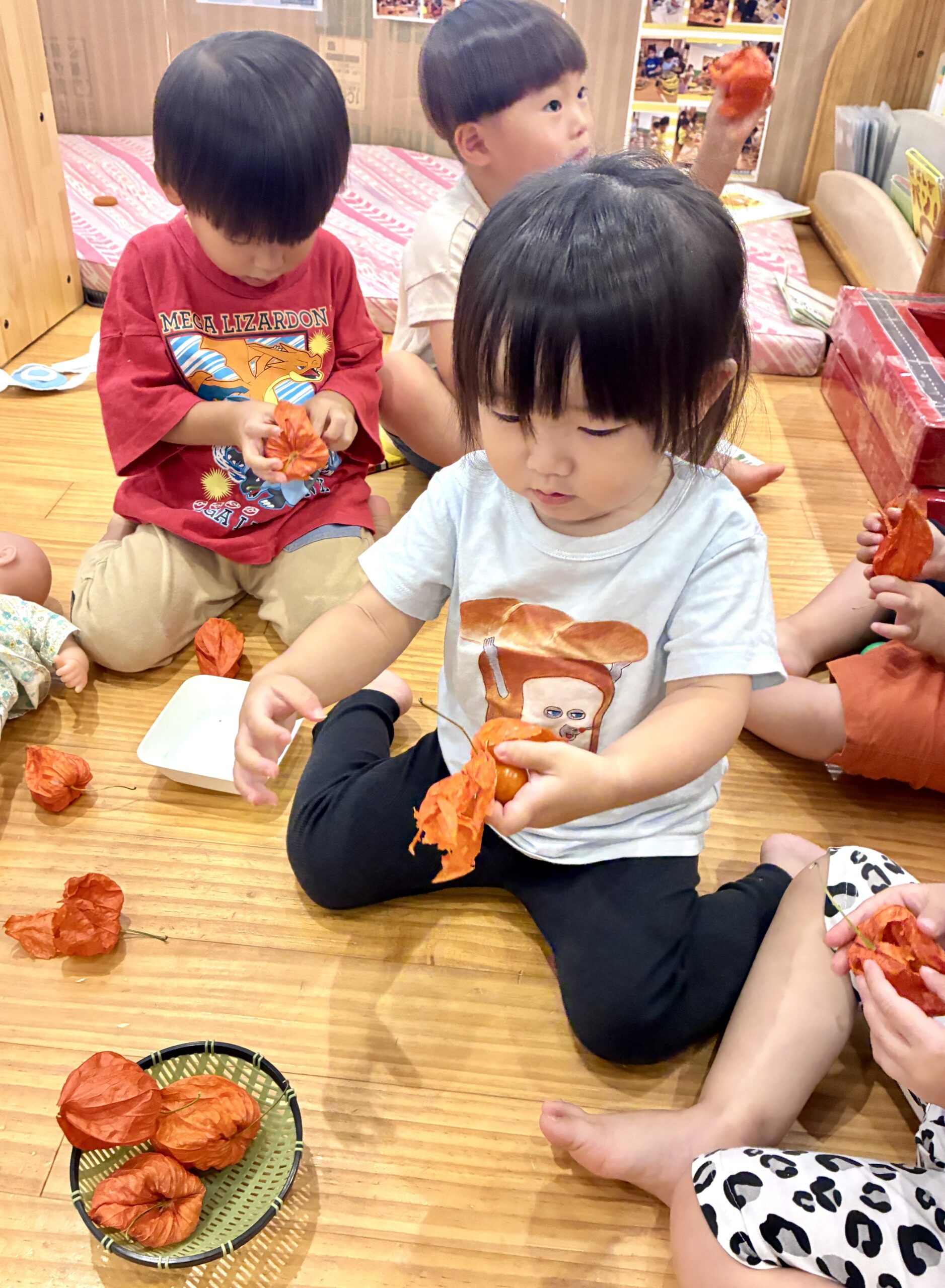 ほおずき⁈トマトみたいやけど、トマトじゃないね～(笑)