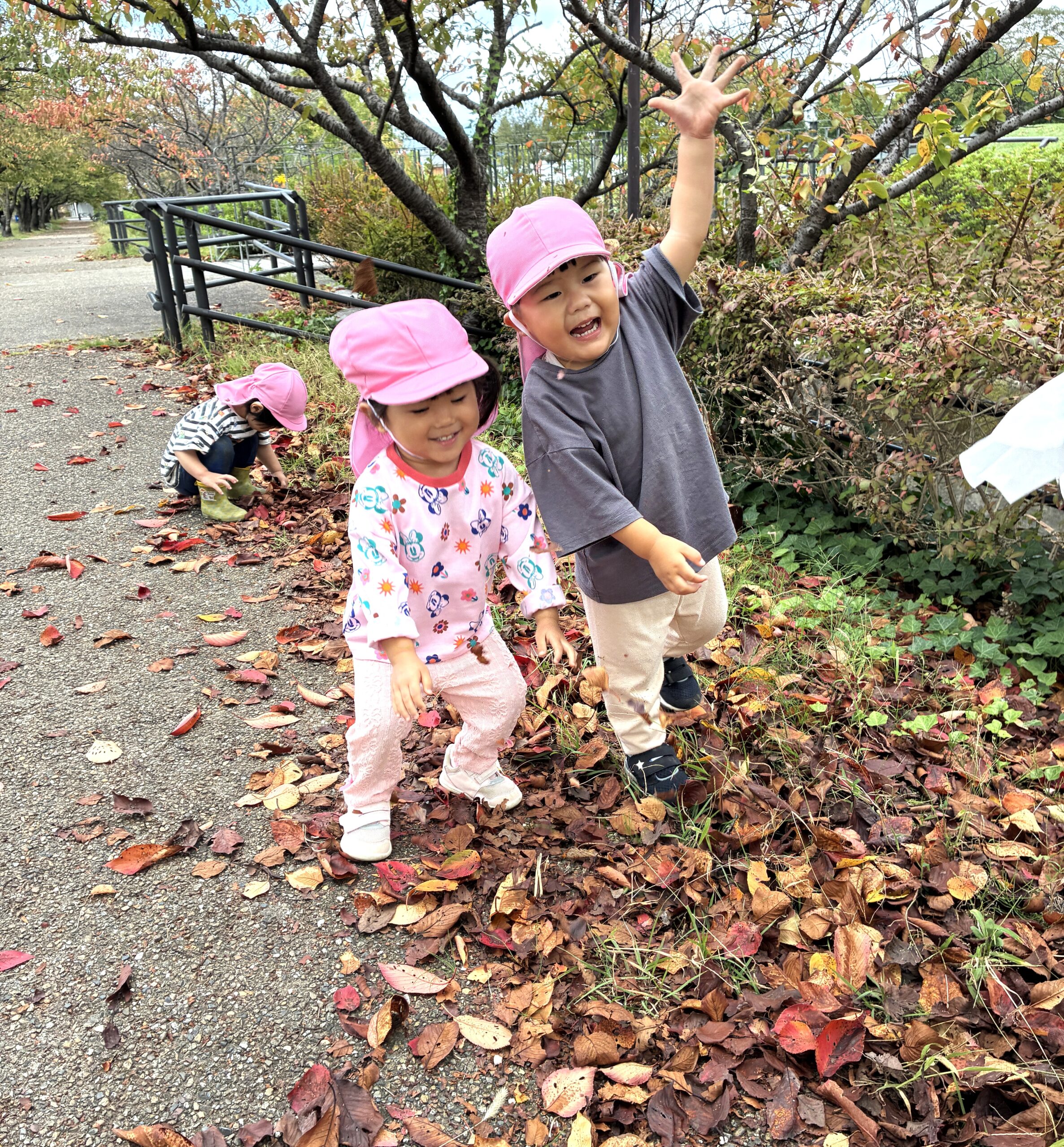 落ち葉の季節がやって来た！たのしい～～♬